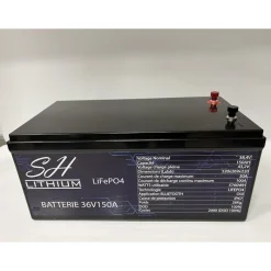SH Lithium Batteries & Chargeurs^Batterie Lithium Lifeop4 Format Caisse Bluetooth 36V150amp + Chargeur