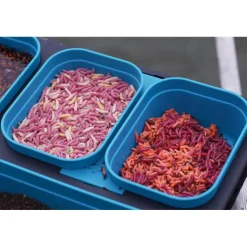 Drennan Bagagerie Coup * Boite À Esches Dms Bait-Seal Box Aqua