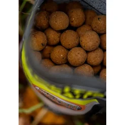 Pro Elite Baits Appâts Carpe * Bouillette Boilies Natural Foods Melon & Peach