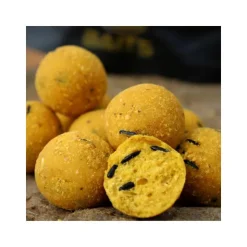 Pro Elite Baits Appâts Carpe * Bouillette Gold Sweet Dreams