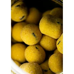 Pro Elite Baits Appâts Carpe * Bouillette Équilibrée Gold Wafter Boilie+Dumbell