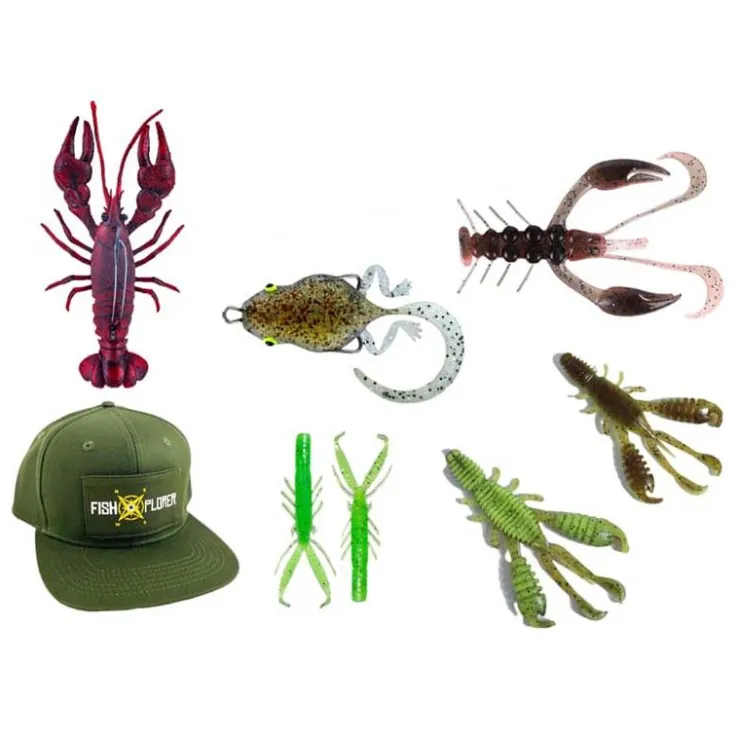 Fishxplorer Cadeaux & Décoration|Cadeaux & Décoration * Box Découverte Creature Deal