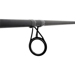 Starbaits Cannes Carpe * Canne Carpe D-Scover 3Sec