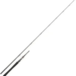 Daiwa Cannes Carnassier * Canne Casting Exceler Casting 1+1