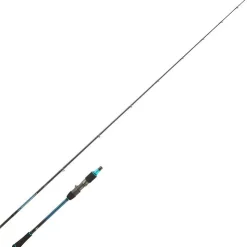 Daiwa Cannes Mer * Canne Casting Harrier Jigging