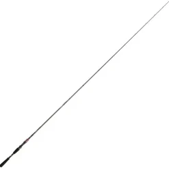 Daiwa Cannes Carnassier * Canne Casting Steez Ags Casting