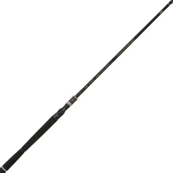 Illex Cannes Carnassier * Canne Casting The Artist X5 B 220 H+ Angel Of D