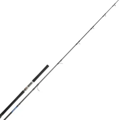 Daiwa Cannes Mer * Canne Saltiga