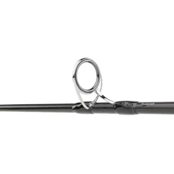 Daiwa Cannes Mer * Canne Saltiga