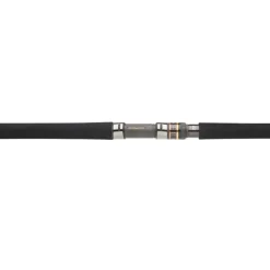Daiwa Cannes Mer^Canne Saltiga Jigging