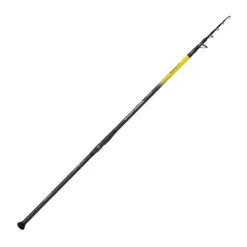 Shimano Cannes Carpe * Canne Esturgeon Télescopique Beastmaster Ax Monster Tele