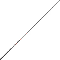Daiwa Cannes Silure|Cannes Mer * Canne Silure Megaforce Big Fish