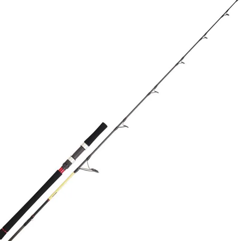 Daiwa Cannes Mer^Canne Spinning Grandwave