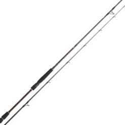 Daiwa Cannes Mer * Canne Spinning Infeet Seabass