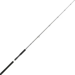 Daiwa Cannes Mer^Canne Spinning Legalis Jigging