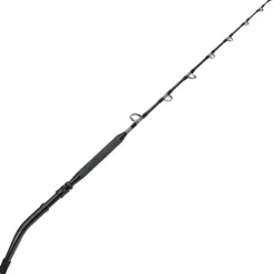 Shimano Cannes Mer * Canne Traîne Tyrnos B Standup Spiral