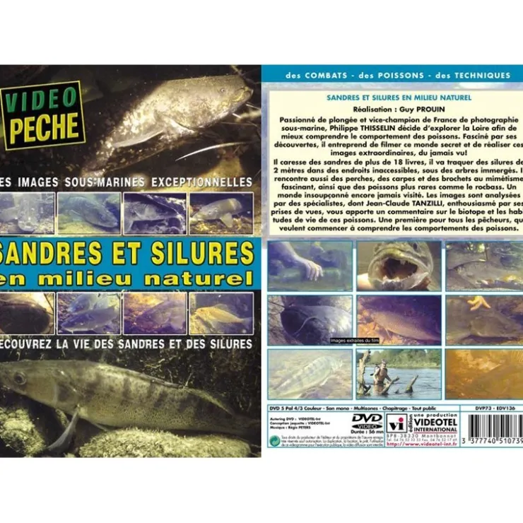 Vidéotel Cadeaux & Décoration|Cadeaux & Décoration * Dvd - Sandres Et Silures En Milieu Naturel Decouvrez La Vie Des Sandres Et Des Silures
