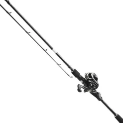 Kinetic Ensembles Carnassier * Ensemble Casting Ozor Bc Cl