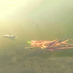 Zeck Montage Silure * Flotteur Propeller U-Float Solid