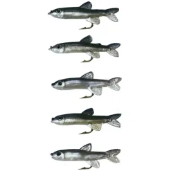 Stucki Fishing Spécial Corégone^Gambe Minnow