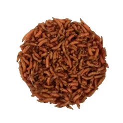 Pecheur.com Appâts - Amorces * Gozzers Bronze