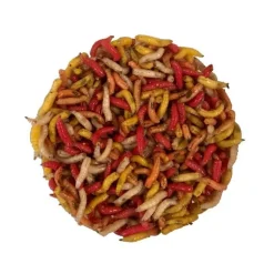 Pecheur.com Appâts - Amorces * Gozzers Multicolores
