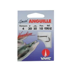 VMC Anguilles * Hamecon Monte Anguille - Par 10