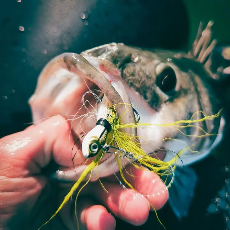 Spro Leurres Mer * Jig Bucktail Jig Crazy