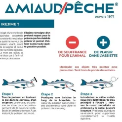 Seanox Accessoires|Outillage * Kit Ikejime