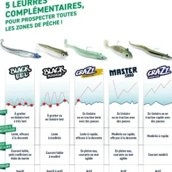 Fiiish Leurres Mer^Kit Leurre Souple Armé Combo Master Shad 100 + Tête Plombée Medium