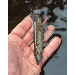 Fox Rage Leurres Carnassiers * Leurre Souple Armé Ultra-Realistic Pike Replicant
