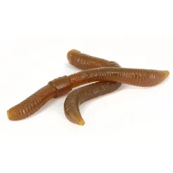 Trout Master Leurres Truite^Leurre Souple Dendrobaena - 6Cm - Par 15