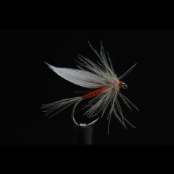 JMC Mouches * Mouche Ephémères Ornans 24 Bl