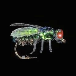 JMC Mouches * Mouche Insectes Réalistes Noire