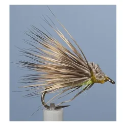 JMC Mouches^Mouche Sedge Enrochement Cul Vert