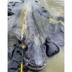 Black Cat Moulinets Silure * Moulinet Casting Cast 301 Lh