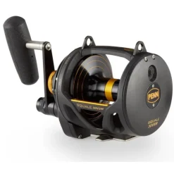 Penn Moulinets Mer^Moulinet Mer Traine Squall Lever Drag 2 Speed